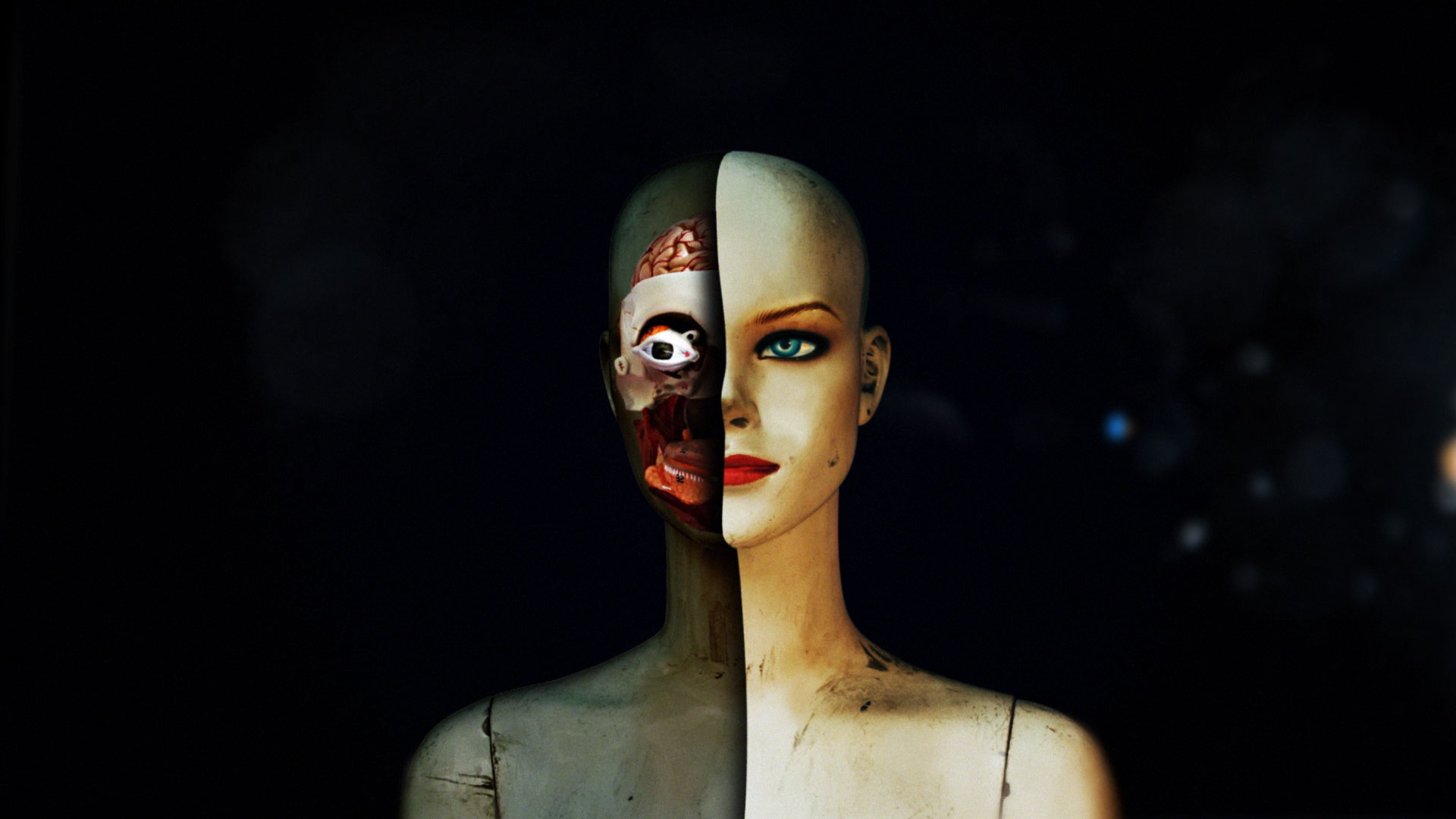 Hippocampe Fou – Swipe Right