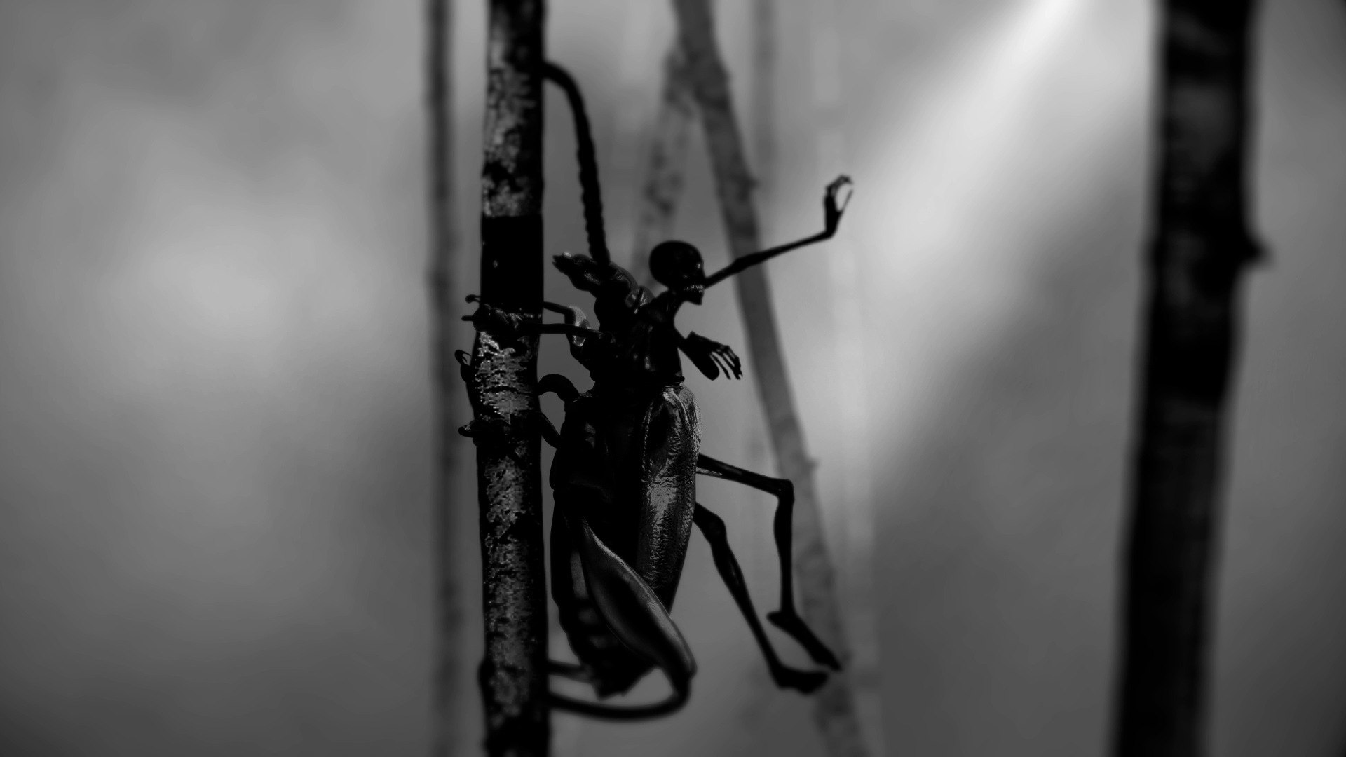 Hippocampe Fou – Trou